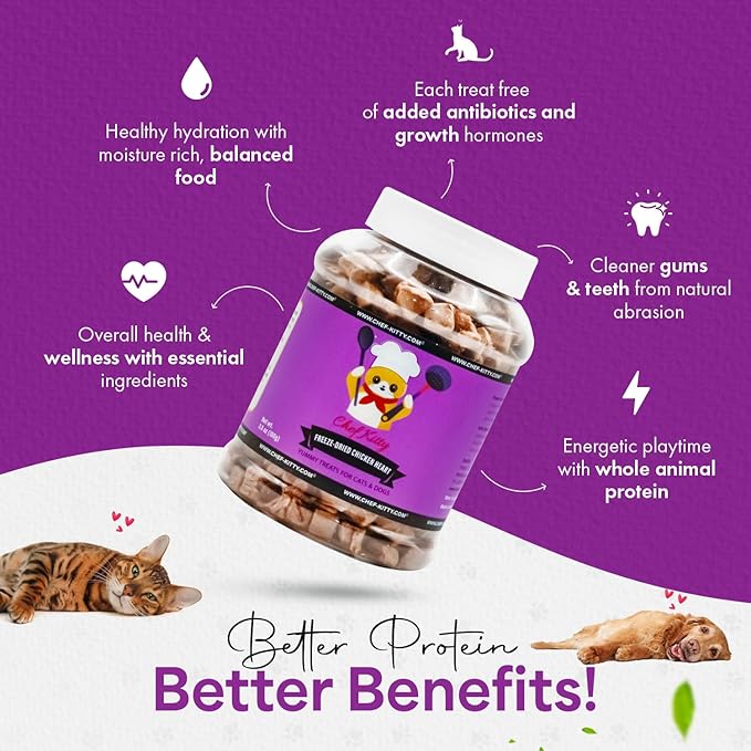 Freeze-Dried Chicken Heart Treats for Cats & Dogs – 100% Human Grade, Single Ingredient, High-Protein, Healthy Snack – No Additives or Preservatives – 2.6oz - Inspected & Tested in USA