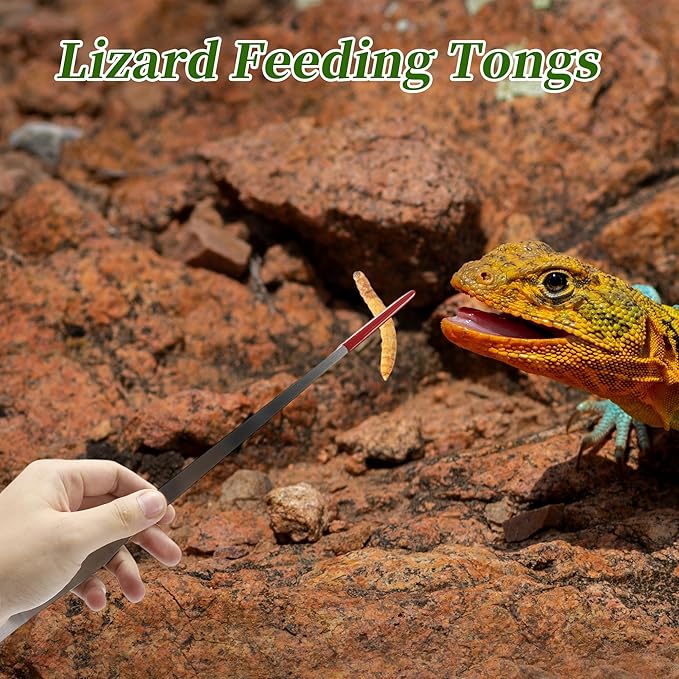 Reptile Feeding Tongs, Stainless Steel Lizard Feeding Tongs, Aquarium Straight Feeding Tweezers for Reptiles with Rubber Tip, Terrarium Feeding Tongs for Gecko, 10.63" L, Black